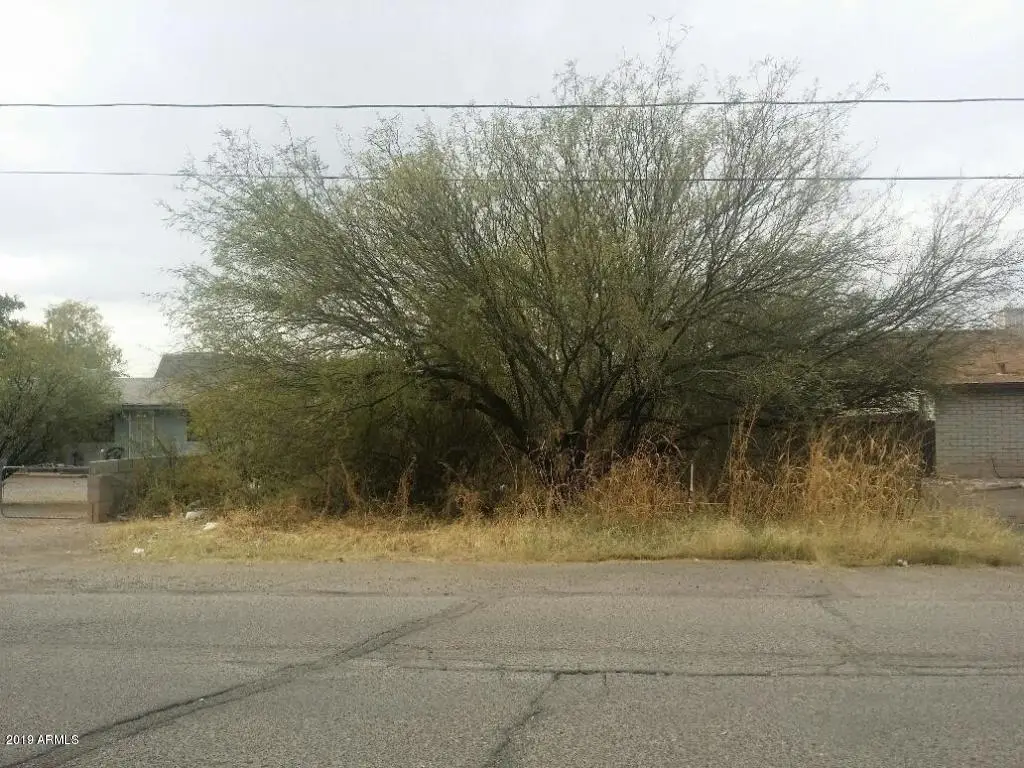 XXXX E Apache Drive #'''-''', Douglas, AZ 85607 - Image #1