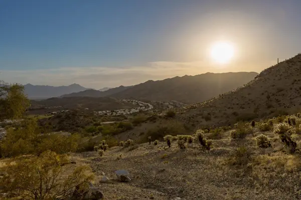 1682 E Desert Willow Drive #4, Phoenix, AZ 85048