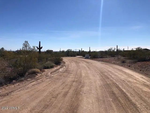 0 Dorman -- #58, North Pinal, AZ 85144 - Image #2