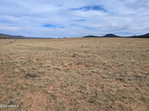 349 S Zachariae Ranch Road #1, Young, AZ 85554