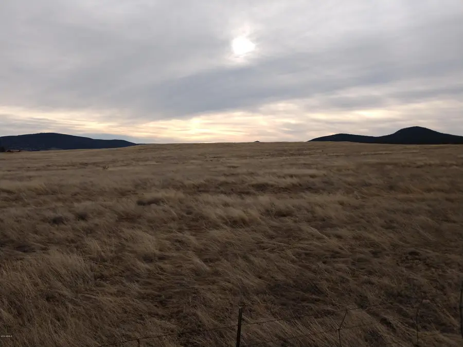 349 S Zachariae Ranch Road #1, Young, AZ 85554 - Image #3