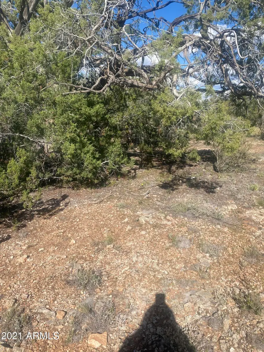 34720 W La Plancha Parkway #5140, Seligman, AZ 86337 - Image #3