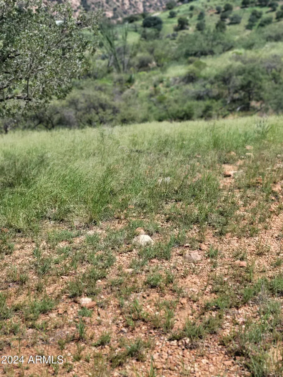 TBD Hannon Ranch Lane #110-51-013-B9, Bisbee, AZ 85603 - Image #2