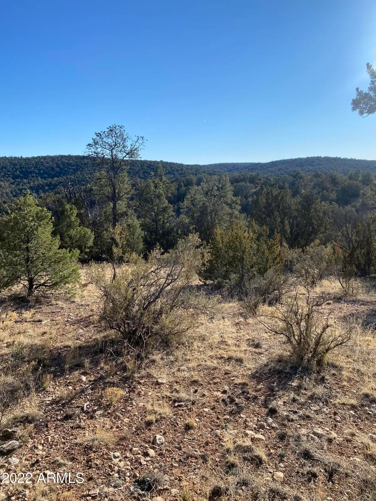 51874 N Cordero Road #3382, Seligman, AZ 86337 - Image #1