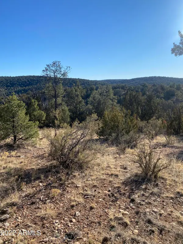 51874 N Cordero Road #3382, Seligman, AZ 86337