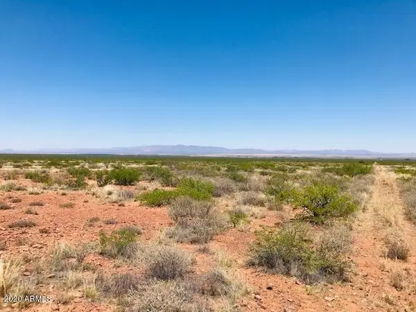 X X -- #25, McNeal, AZ 85617