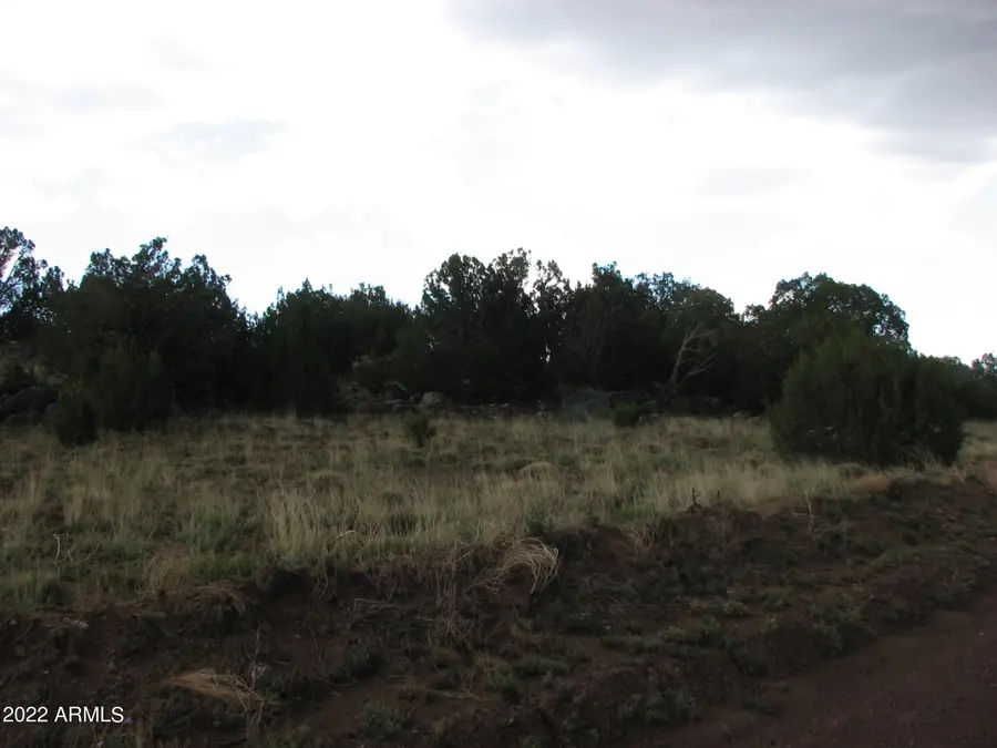 21 & 23 County Road 8001 -- #277 & 278, Concho, AZ 85924 - Image #3