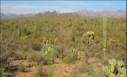 5ac N Gunsight Lane, Florence, AZ 85132