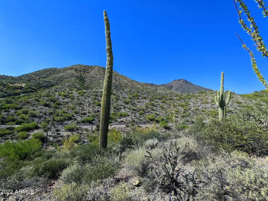 41347 N Longhorn Drive, Scottsdale, AZ 85262 - Image #2