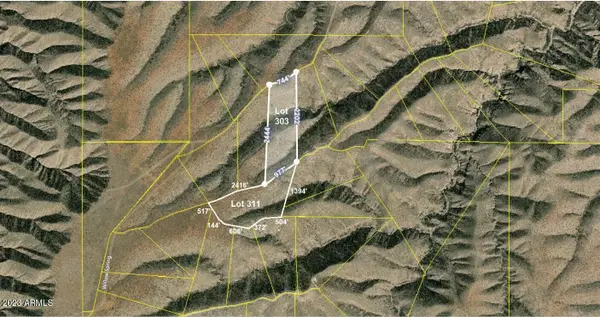 74.66ac 2 Lots Highpoint Ranch #303&311, Willcox, AZ 85643