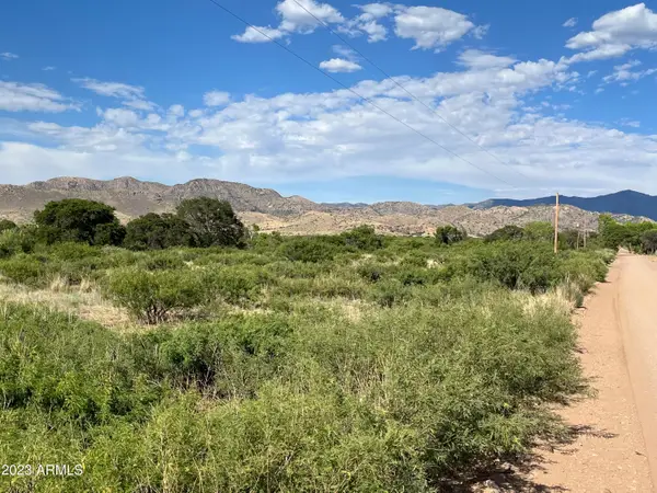 TBD Turkey Creek Road, Pearce, AZ 85625