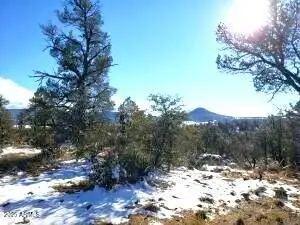 4R-5 N Ike Clark Parkway #5, Young, AZ 85554 - Image #1