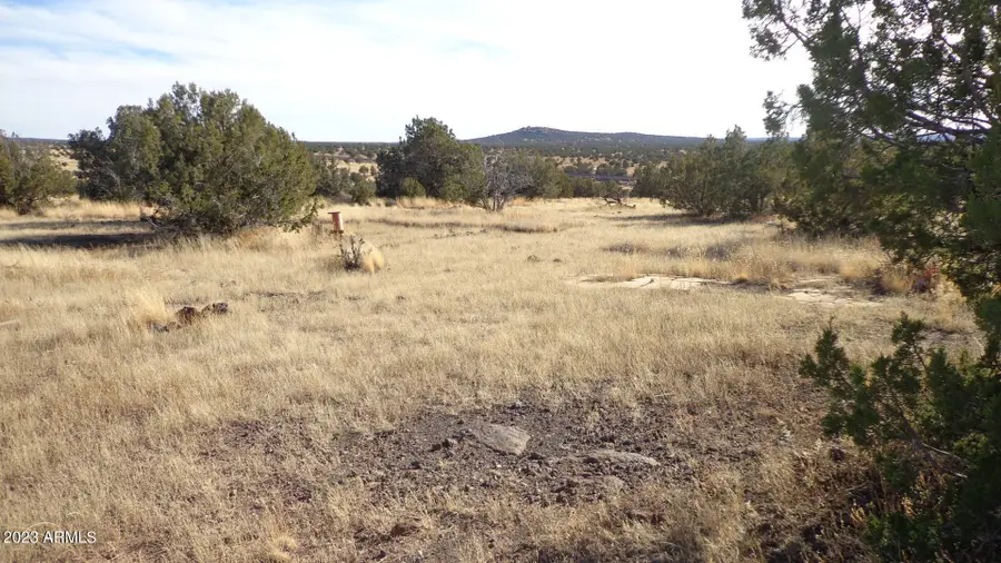 00 N Trackside Trail Lane #211, Ash Fork, AZ 86320 - Image #2