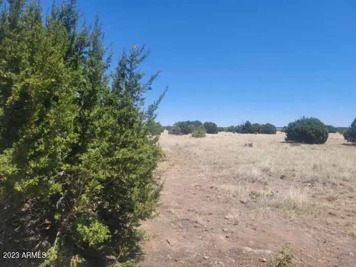 8430 Lake View Drive #79, Show Low, AZ 85901 - Image #1