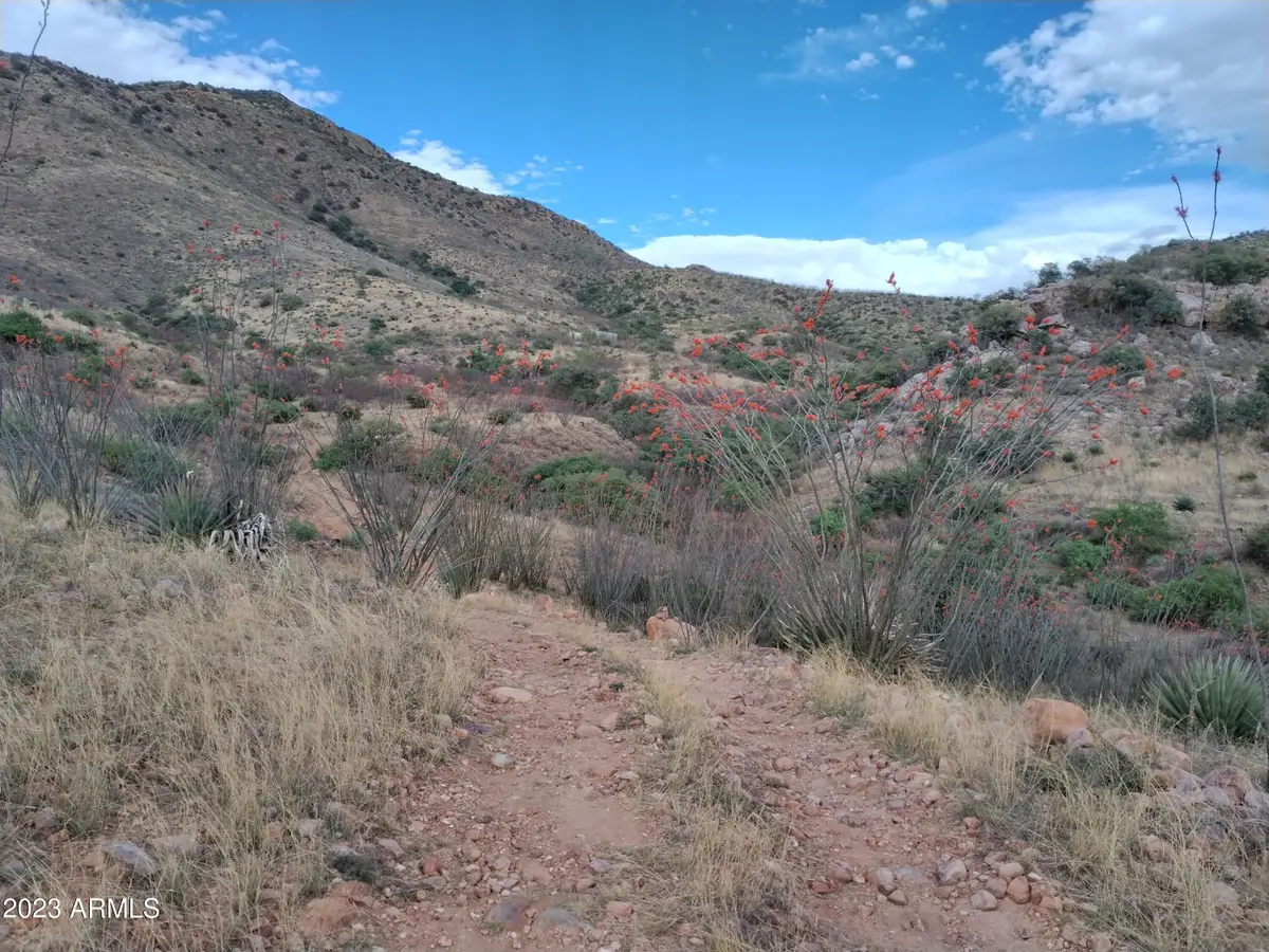 127 N Lupine Road #23, Bisbee, AZ 85603 - #1