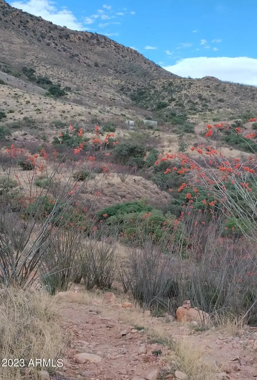 127 N Lupine Road #23, Bisbee, AZ 85603 - #2