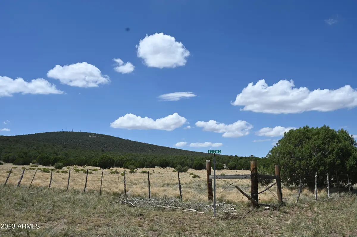 33900 W Great Horned Trail #212., Seligman, AZ 86337 - Image #1