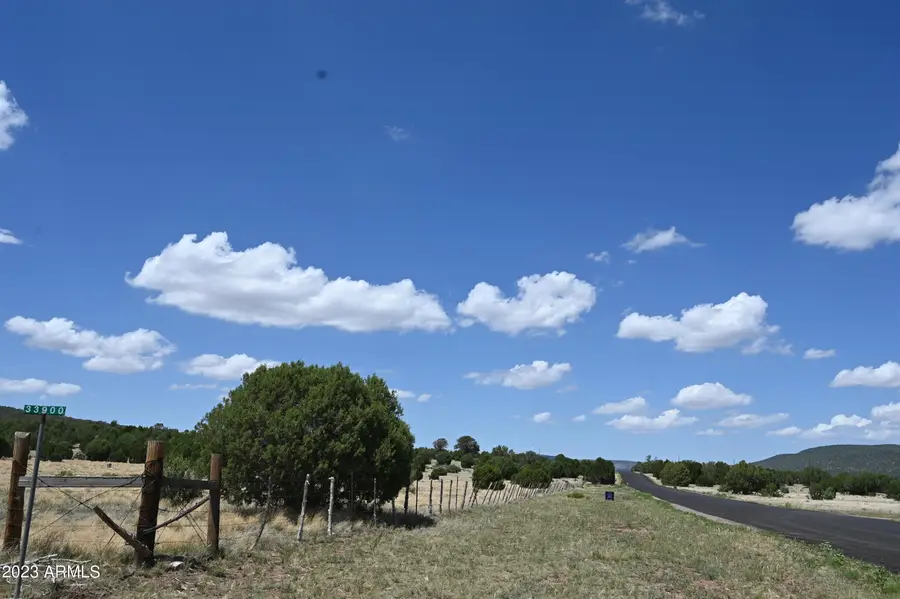 33900 W Great Horned Trail #212., Seligman, AZ 86337 - Image #2