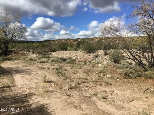 40 ac N Grand Reef Road #2, Willcox, AZ 85643