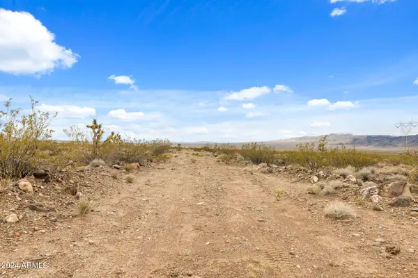 19000 N Pinto Road #97, Dolan Springs, AZ 86441