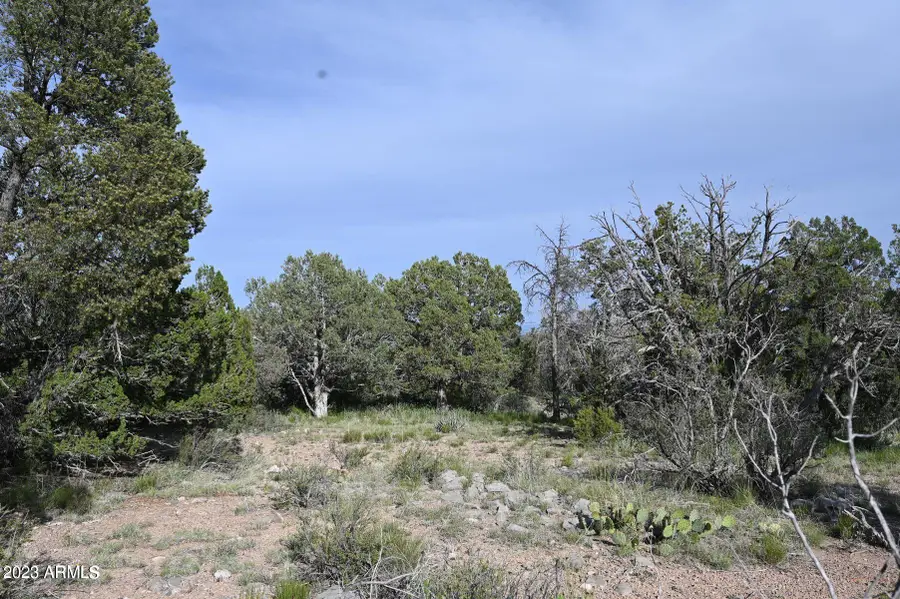 52084 N Calle Ciervo -- #2064, Seligman, AZ 86337 - Image #2