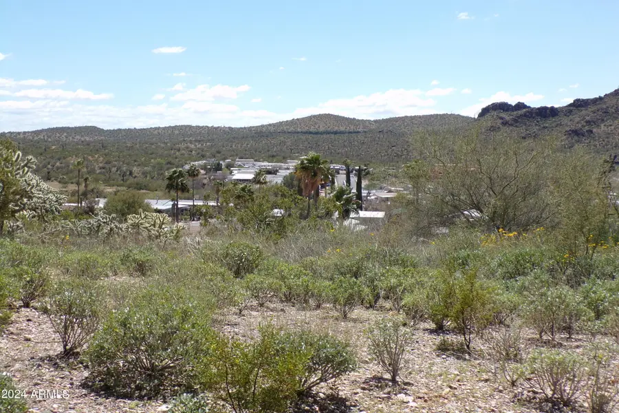 57 W Sahuaro Drive #75, Queen Valley, AZ 85118 - #3