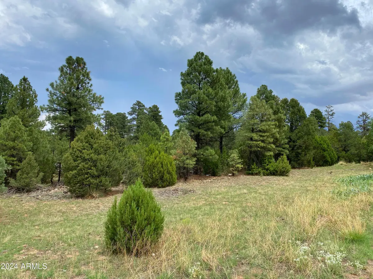 2026 State Route 277 -- #C, Heber Overgaard, AZ 85933 - Image #1