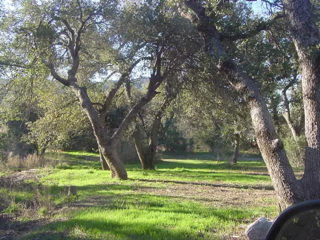 52975 E Harper G Road, Superior, AZ 85539 - Image #1