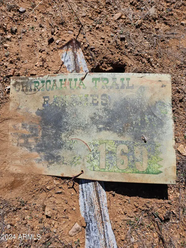 LOT 169 Chiricahua Trail Ranches Pione -- #169, Willcox, AZ 85643