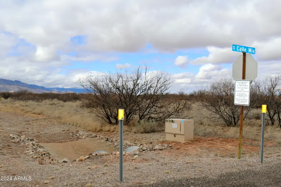TBD E 3 Canyons Road, Hereford, AZ 85615 - Image #2