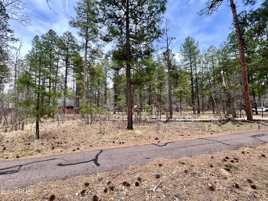 4024 Latigo Way, Pinetop Lakeside, AZ 85935 - Image #2