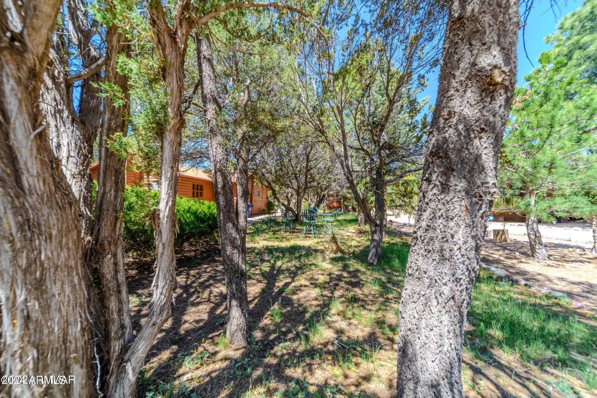 3396 Navajo Drive, Heber Overgaard, AZ 85933 - Image #1