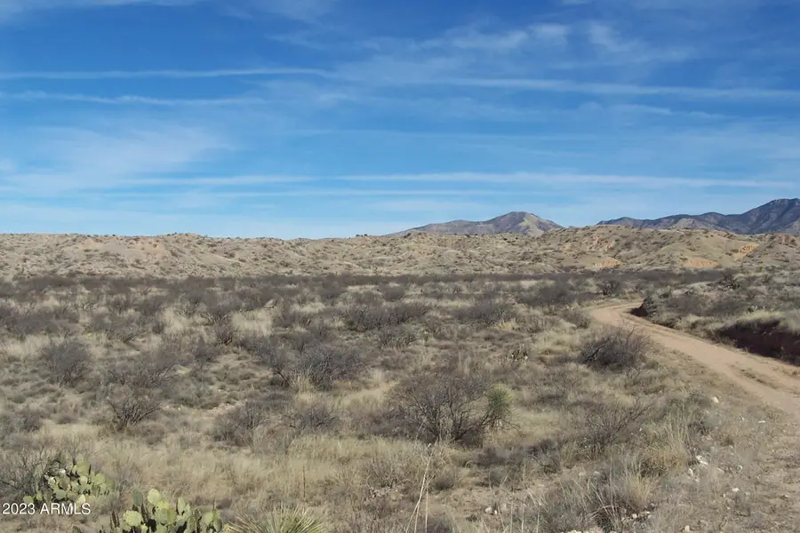 36.31ac S Four Feathers Loop #83, Willcox, AZ 85643 - #2