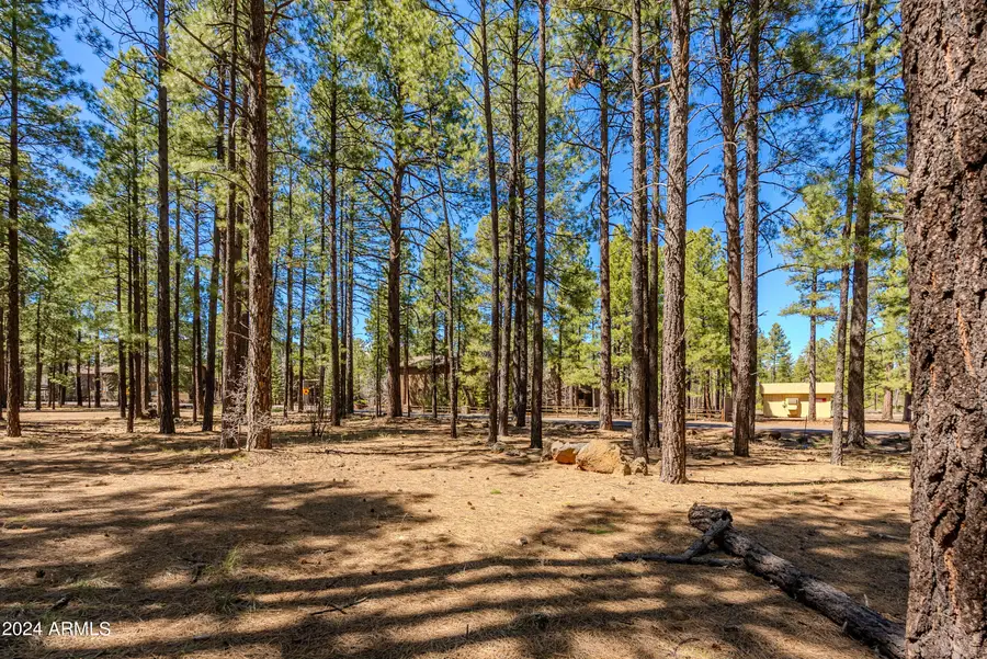 4583 Sky Hi Road, Pinetop Country Club, AZ 85935 - Image #3
