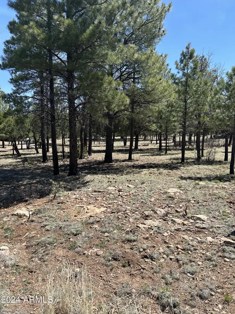 4783 Horseshoe Drive #94, Blue Ridge, AZ 86024 - Image #2