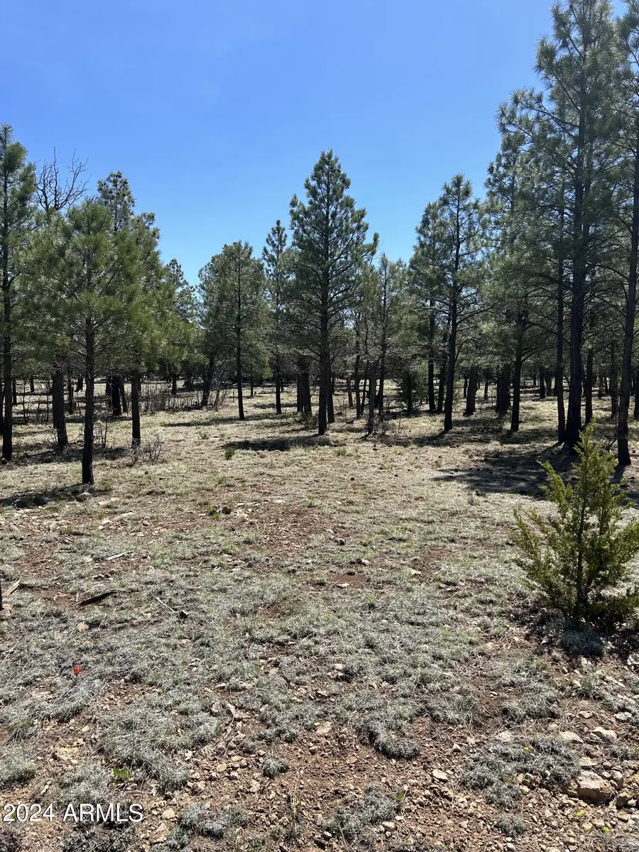 4783 Horseshoe Drive #94, Blue Ridge, AZ 86024 - Image #3