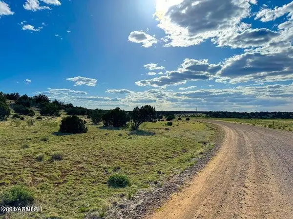 TBD 8643 12 Acres --, Concho, AZ 85924