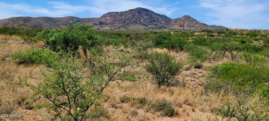 Lot 116 W Stetson Drive #116, Elfrida, AZ 85610 - Image #2