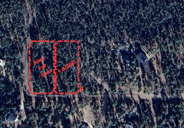 2968 Constellation Lane, Overgaard, AZ 85933