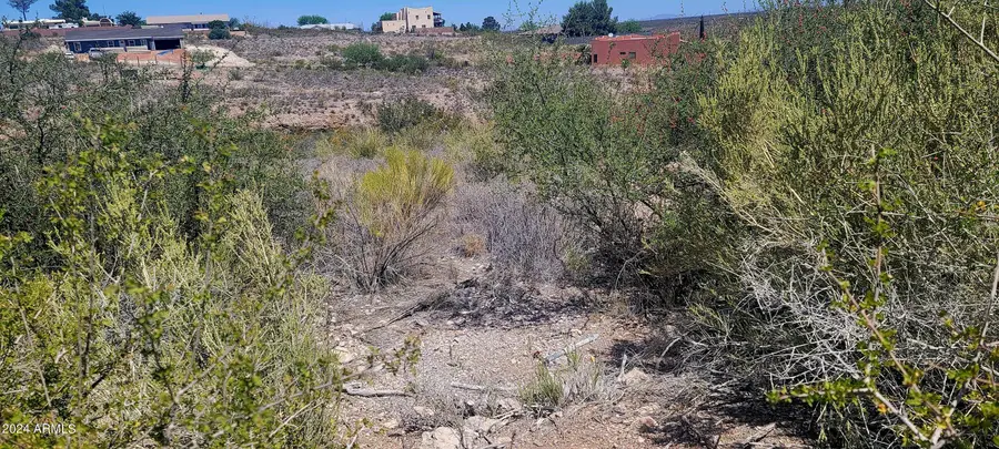 Lot 81 Apache Drive #81, Tombstone, AZ 85638 - Image #2