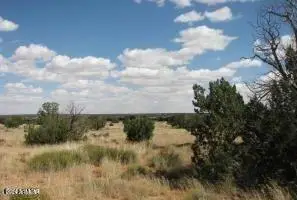 Sec 19 T15n, R16e -- #'''-''', Heber, AZ 85928 - Image #2