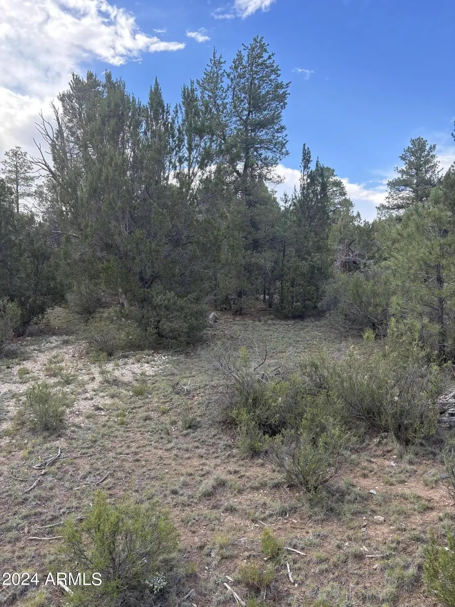 1988 Artists Draw Road #7, Heber Overgaard, AZ 85928 - Image #2