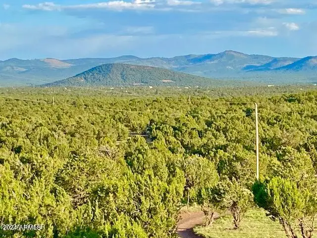 0 N3208 Lot B 9.18 Acres -- #B, Vernon, AZ 85940 - Image #1