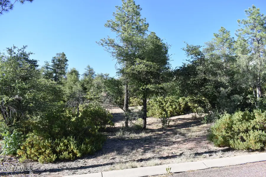 LOT 19 E Pine Ridge Drive #19, Star Valley, AZ 85541 - Image #3
