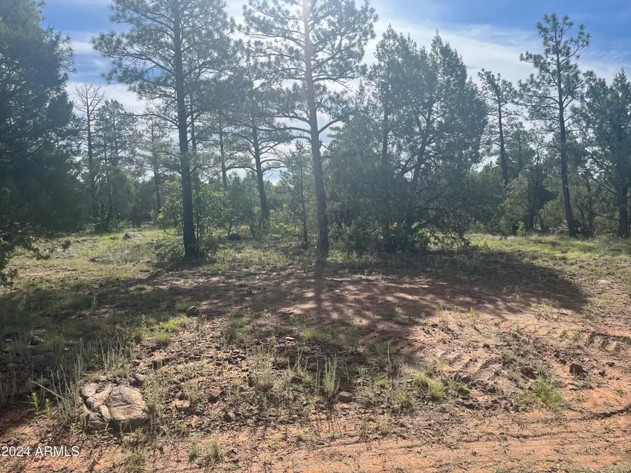 5509 Red Squirrel Lane #58, Wagon Wheel, AZ 85929 - Image #2