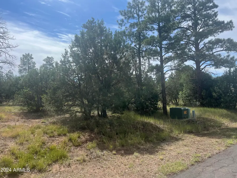 5455 Red Squirrel Lane #54, Wagon Wheel, AZ 85929 - Image #2