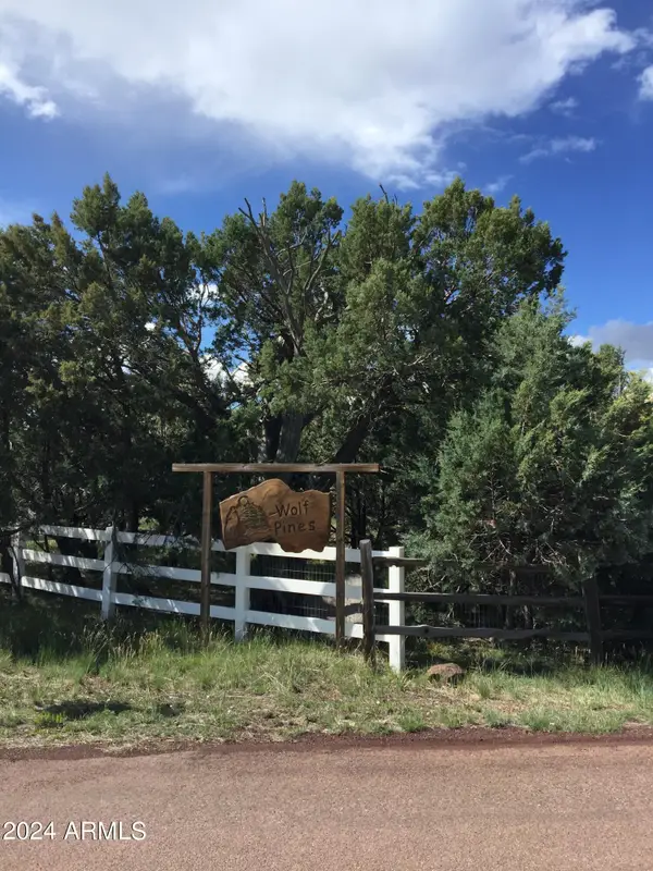 4817 Bison -- #42, Lakeside, AZ 85929