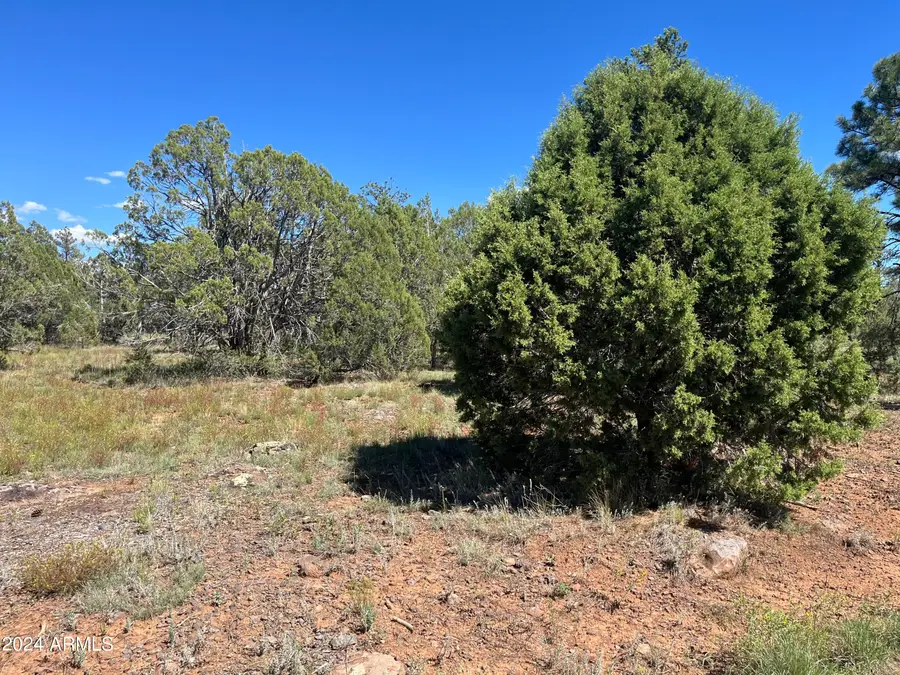 5541 Gray Wolf Drive #43, Wagon Wheel, AZ 85929 - Image #3