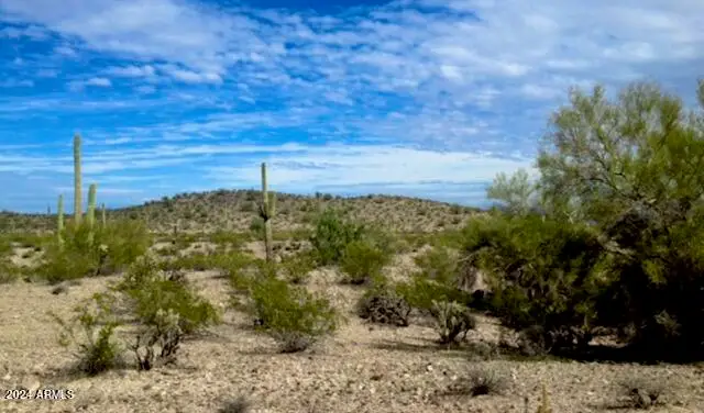 0 N 333rd Avenue #8, Tonopah, AZ 85354 - Image #3