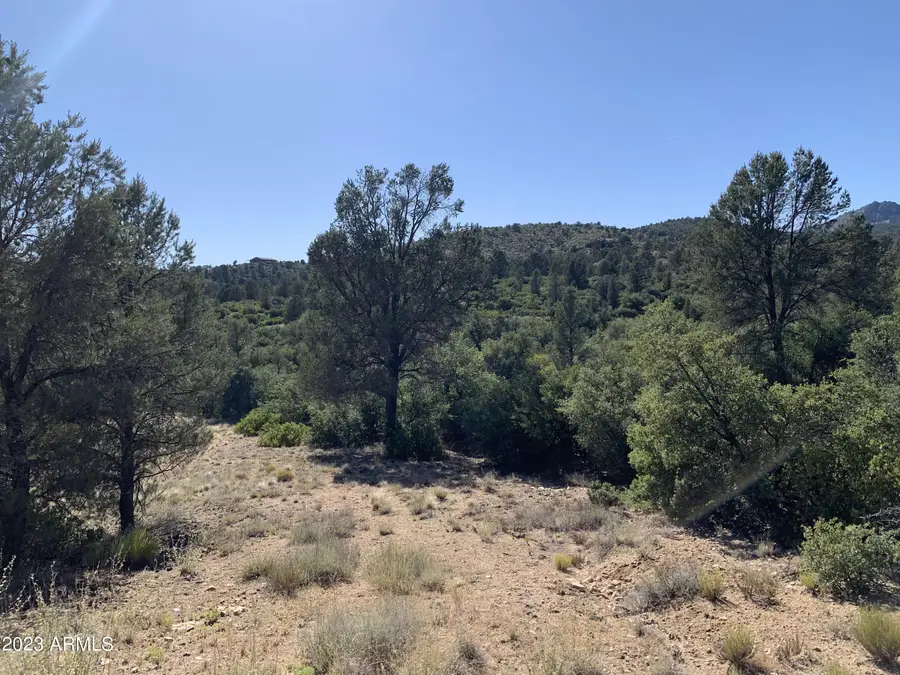 17545 W Buck Horn Drive #1, Peeples Valley, AZ 86332 - Image #2